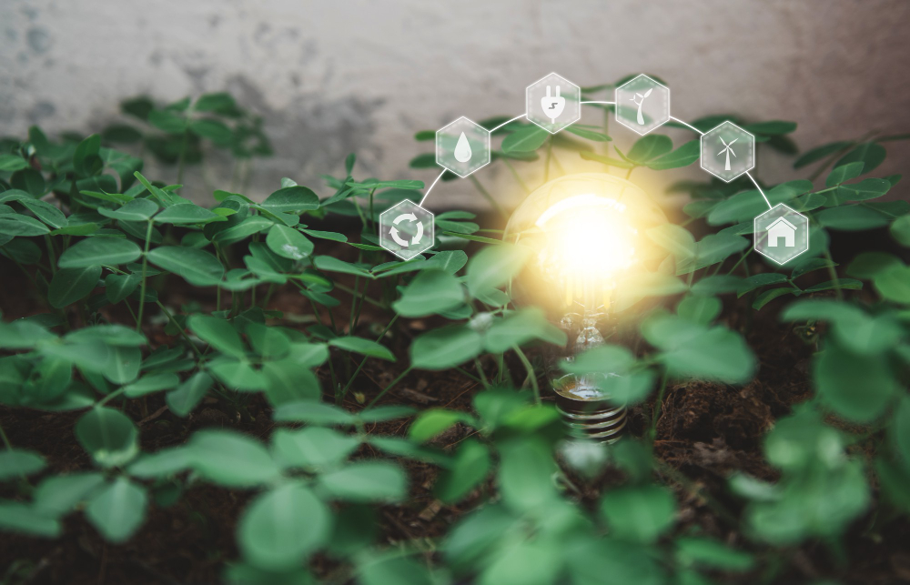 What Are Green Innovations