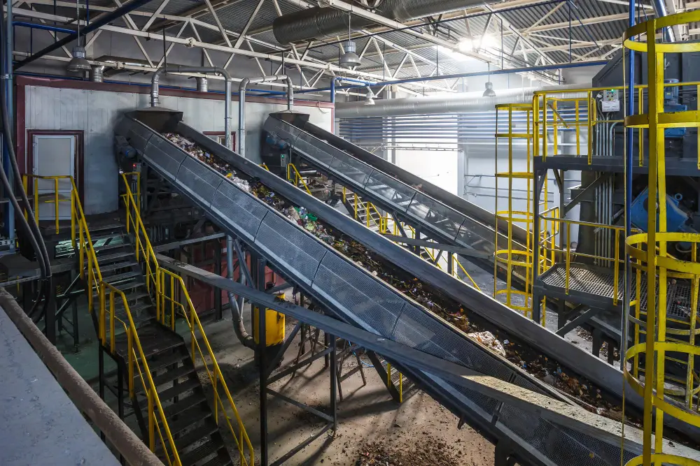 Biomass Feedstock