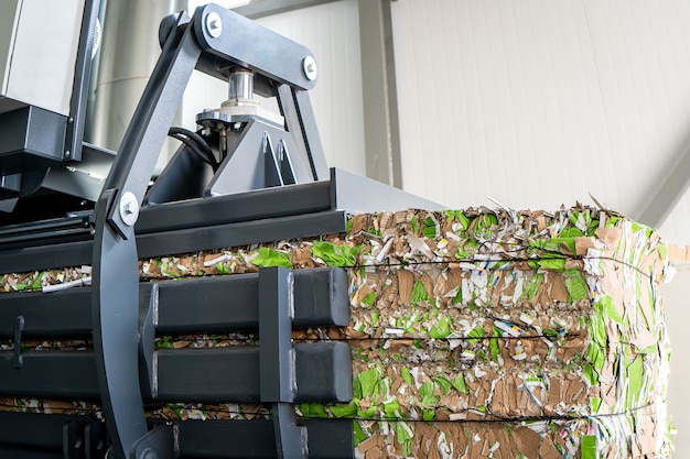 What is Biomass Production